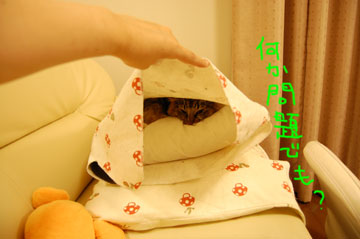 何か問題でも？