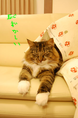 恥ずかしい