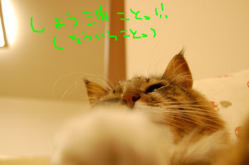 しょうゆこと！
