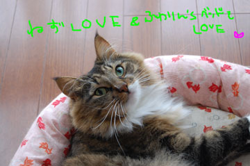 ねずLOVE＆ふわりんさんのベッドLOVE