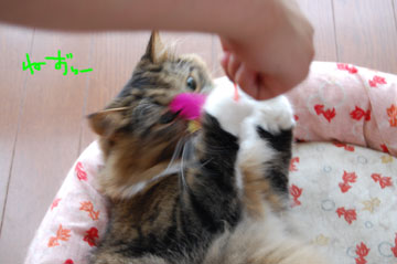 ねずー