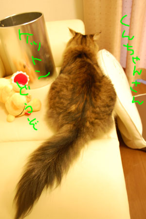 くんちゃんさん、けつとんどうぞ