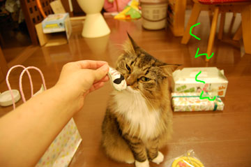 くんくん