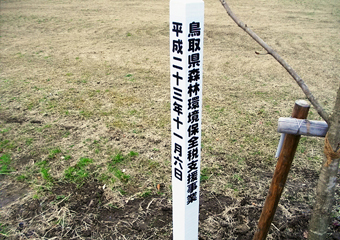 植樹体験04