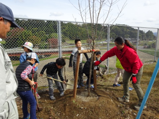 山守小学校記念植樹01