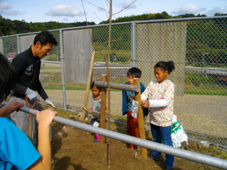 山守小学校記念植樹03