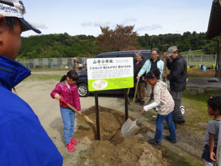 山守小学校記念植樹06