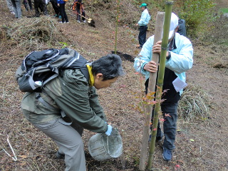 大山池植樹02