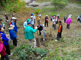 大山池植樹03