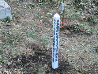 大山池植樹04